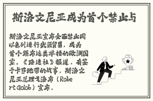 雷电将军被**